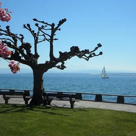 Finke 2 * Friedrichshafen