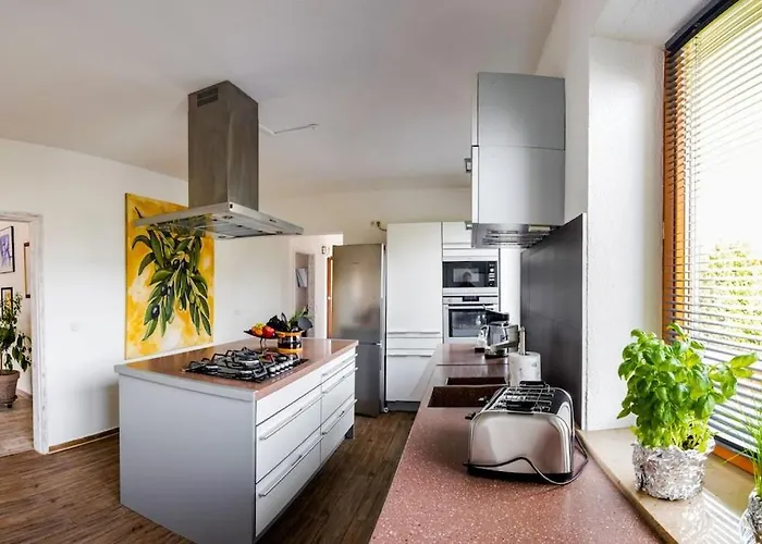 Finke 2 فريدريشسهافن