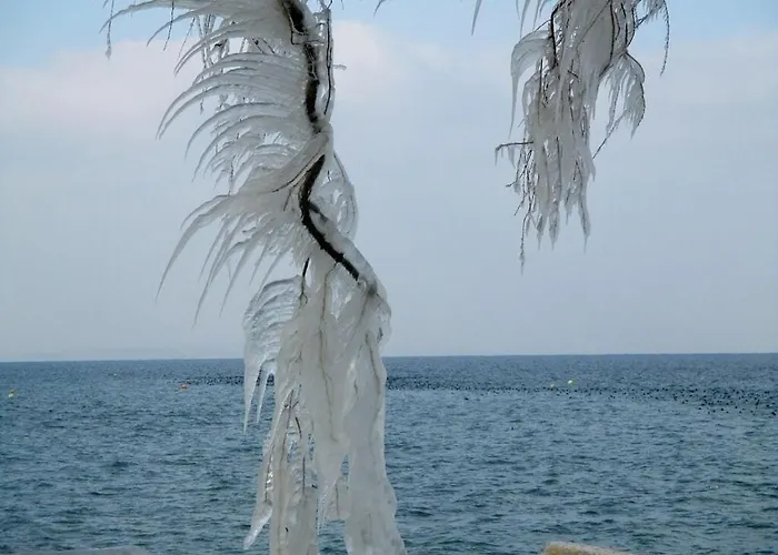 アパート Finke 2 *