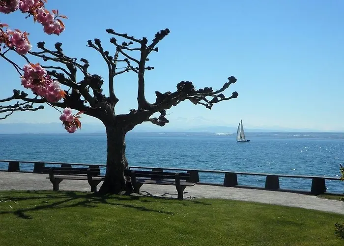 Finke 2 * فريدريشسهافن